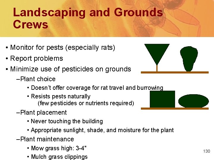 Landscaping and Grounds Crews • Monitor for pests (especially rats) • Report problems •