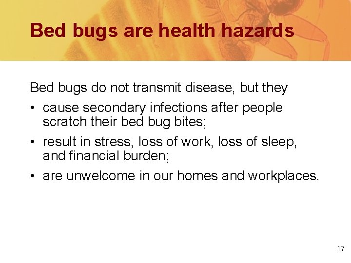 Bed bugs are health hazards Bed bugs do not transmit disease, but they •