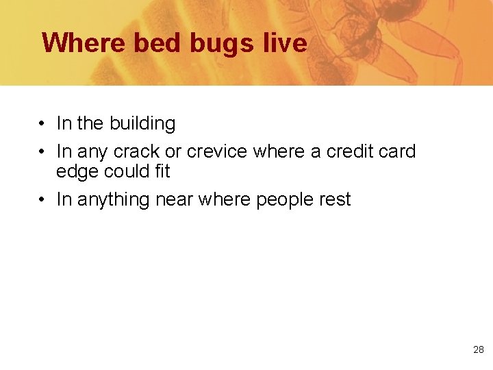 Where bed bugs live • In the building • In any crack or crevice