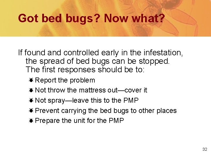 Got bed bugs? Now what? If found and controlled early in the infestation, the