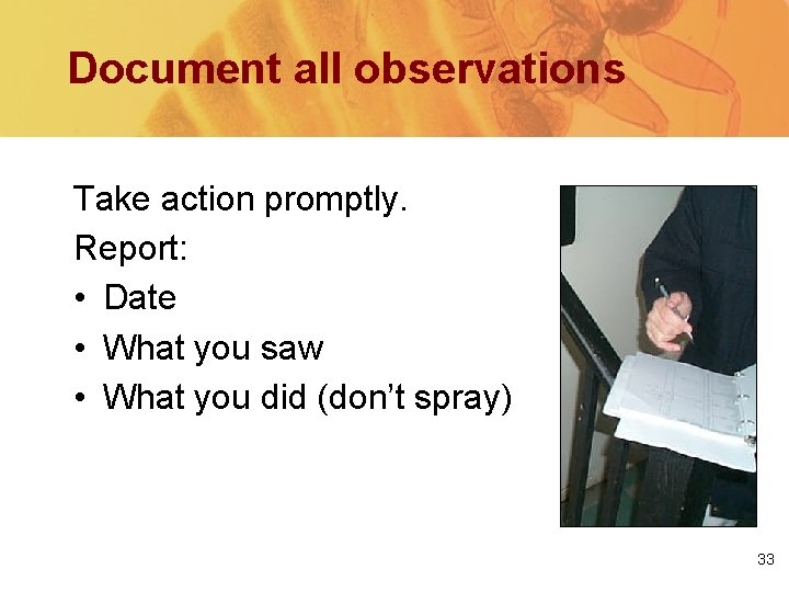 Document all observations Take action promptly. Report: • Date • What you saw •