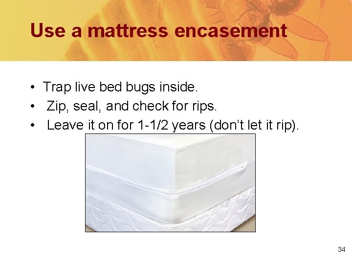 Use a mattress encasement • Trap live bed bugs inside. • Zip, seal, and