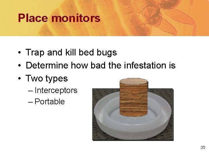 Place monitors • Trap and kill bed bugs • Determine how bad the infestation