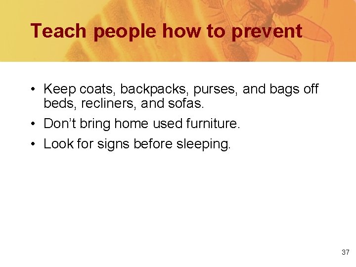 Teach people how to prevent • Keep coats, backpacks, purses, and bags off beds,