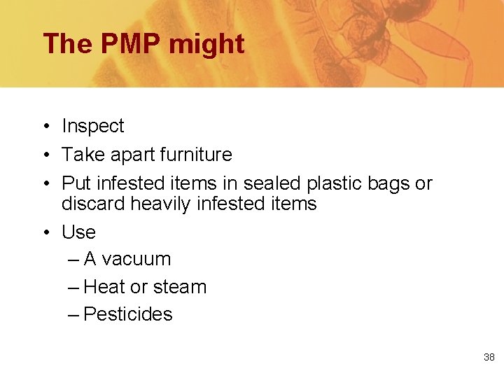 The PMP might • Inspect • Take apart furniture • Put infested items in