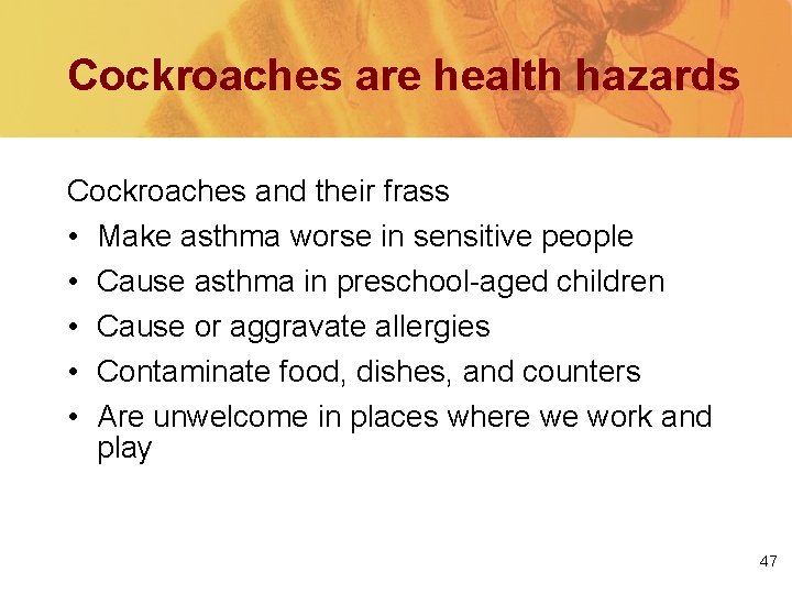 Cockroaches are health hazards Cockroaches and their frass • Make asthma worse in sensitive