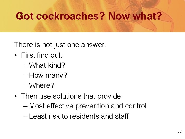 Got cockroaches? Now what? There is not just one answer. • First find out: