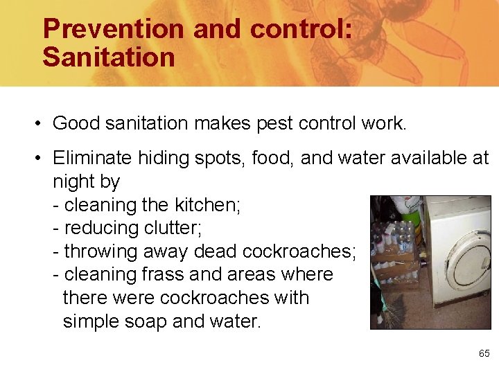 Prevention and control: Sanitation • Good sanitation makes pest control work. • Eliminate hiding