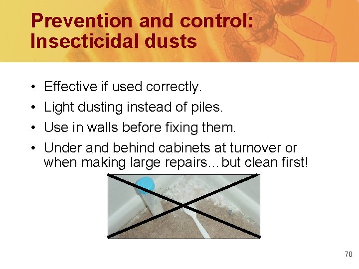 Prevention and control: Insecticidal dusts • • Effective if used correctly. Light dusting instead
