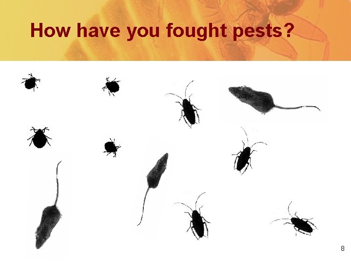 How have you fought pests? 8 