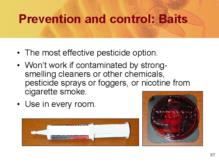 Prevention and control: Baits • The most effective pesticide option. • Won’t work if