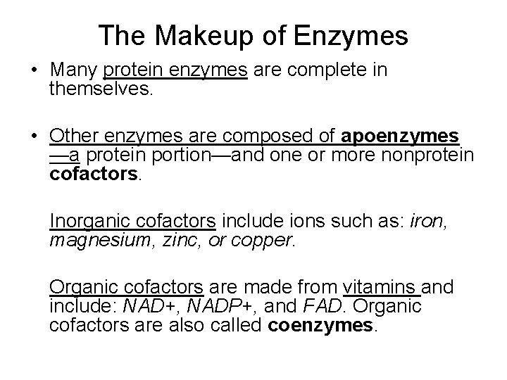 The Makeup of Enzymes • Many protein enzymes are complete in themselves. • Other