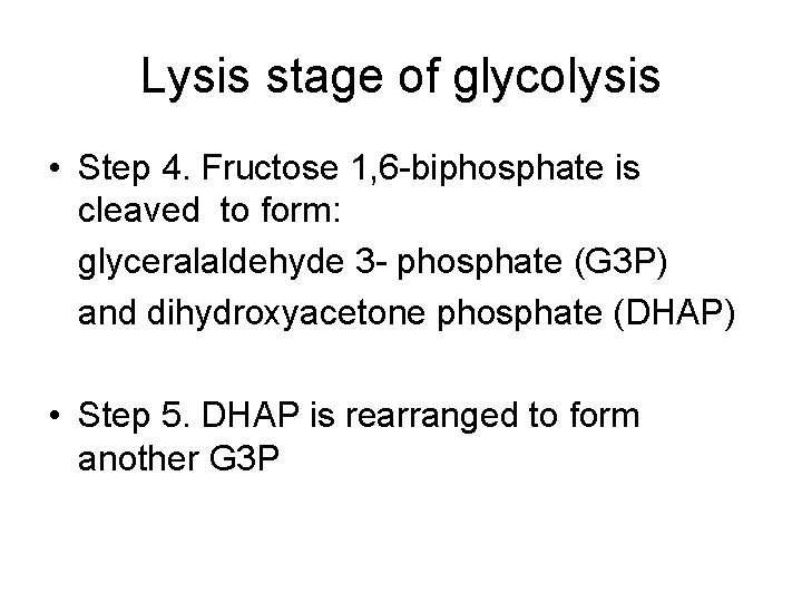 Lysis stage of glycolysis • Step 4. Fructose 1, 6 -biphosphate is cleaved to