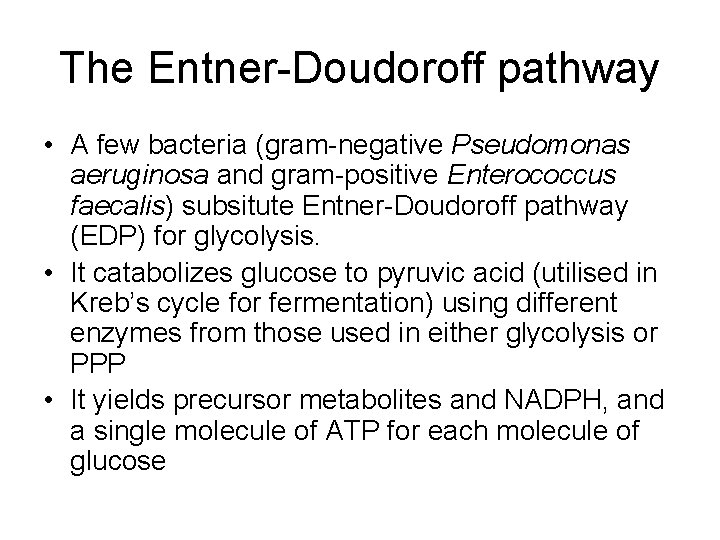 The Entner-Doudoroff pathway • A few bacteria (gram-negative Pseudomonas aeruginosa and gram-positive Enterococcus faecalis)