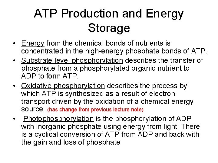 ATP Production and Energy Storage • Energy from the chemical bonds of nutrients is