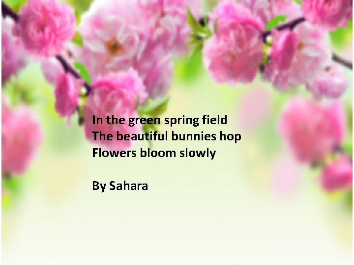 In the green spring field The beautiful bunnies hop Flowers bloom slowly By Sahara