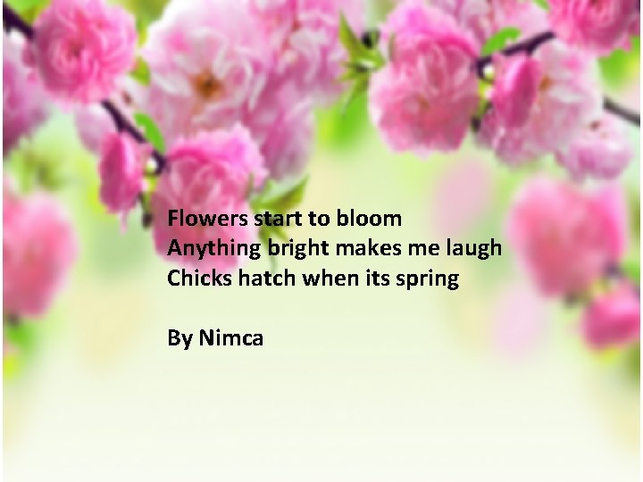 Flowers start to bloom Anything bright makes me laugh Chicks hatch when its spring