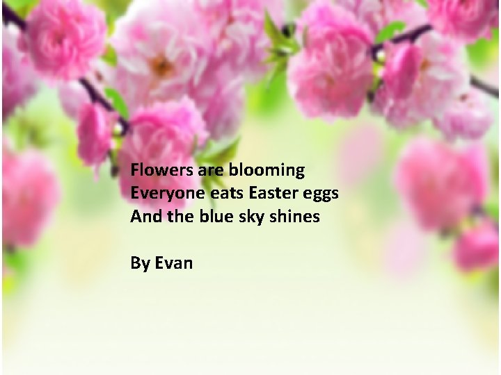 Flowers are blooming Everyone eats Easter eggs And the blue sky shines By Evan