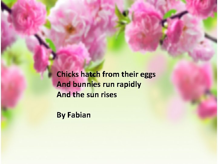 Chicks hatch from their eggs And bunnies run rapidly And the sun rises By