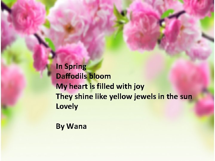In Spring Daffodils bloom My heart is filled with joy They shine like yellow