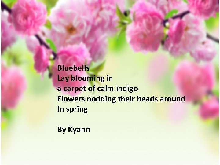 Bluebells Lay blooming in a carpet of calm indigo Flowers nodding their heads around