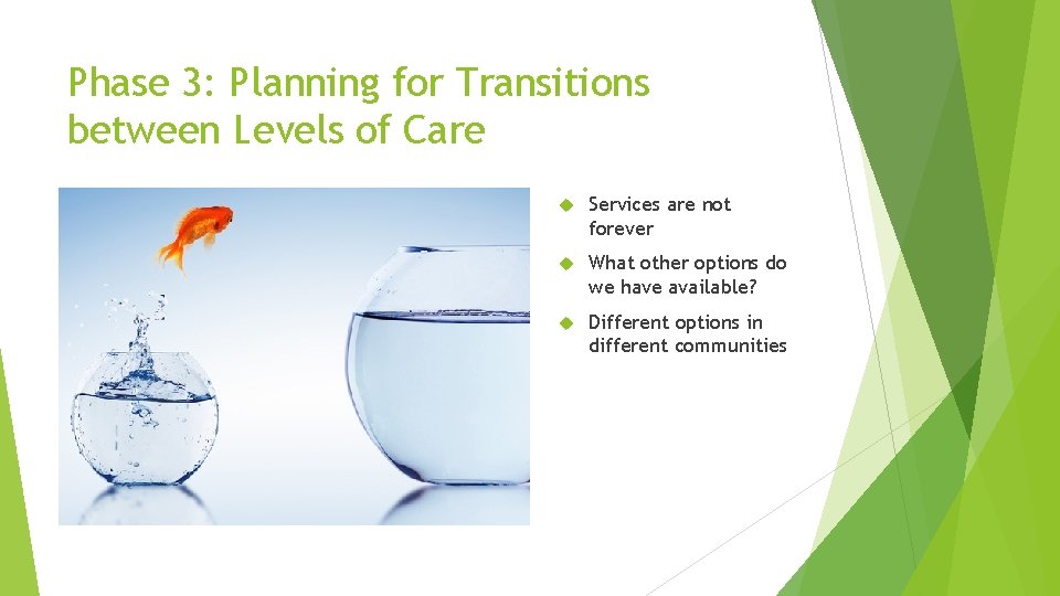 Phase 3: Planning for Transitions between Levels of Care Services are not forever What