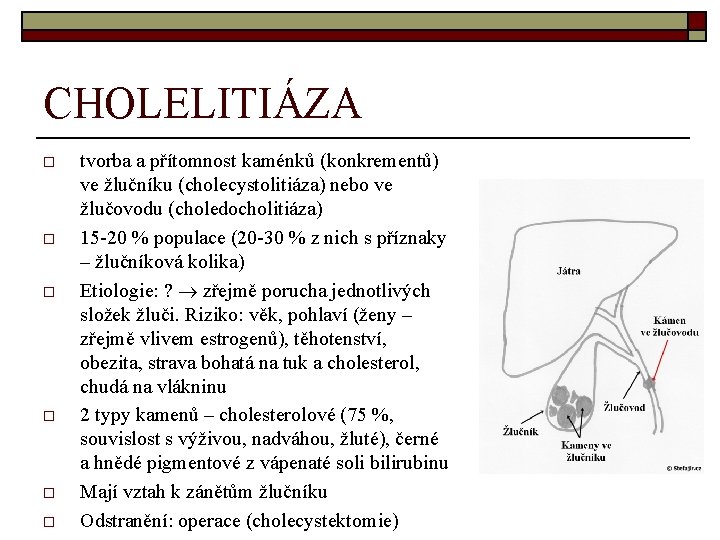 CHOLELITIÁZA o o o tvorba a přítomnost kaménků (konkrementů) ve žlučníku (cholecystolitiáza) nebo ve