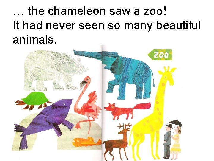 … the chameleon saw a zoo! It had never seen so many beautiful animals.