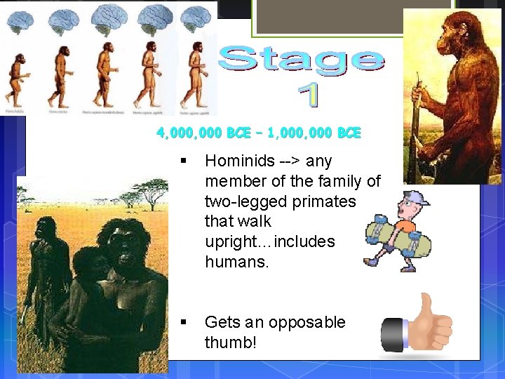 4, 000 BCE – 1, 000 BCE § Hominids --> any member of the