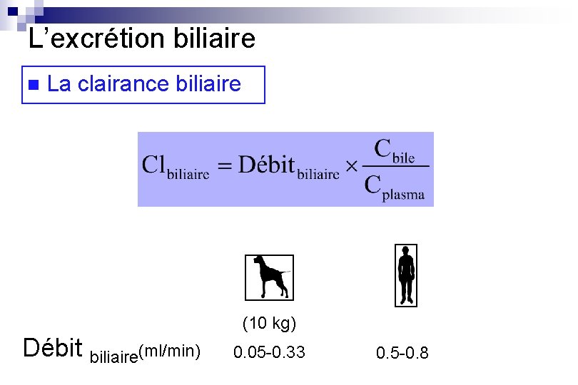 L’excrétion biliaire n La clairance biliaire (10 kg) Débit biliaire(ml/min) 0. 05 -0. 33