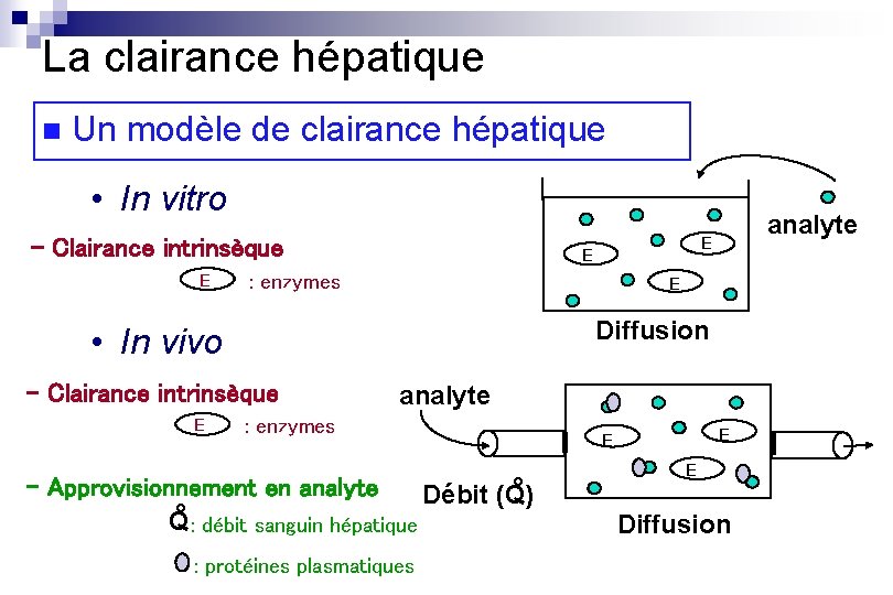 La clairance hépatique n Un modèle de clairance hépatique • In vitro - Clairance