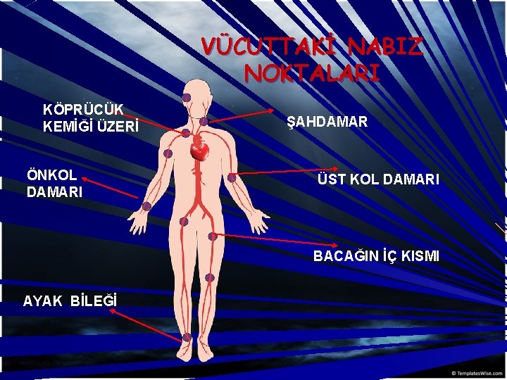 VÜCUTTAKİ NABIZ NOKTALARI KÖPRÜCÜK KEMİĞİ ÜZERİ ÖNKOL DAMARI ŞAHDAMAR ÜST KOL DAMARI BACAĞIN İÇ