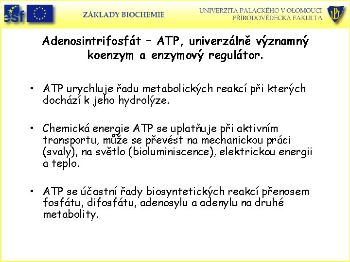 Adenosintrifosfát – ATP, univerzálně významný koenzym a enzymový regulátor. • ATP urychluje řadu metabolických