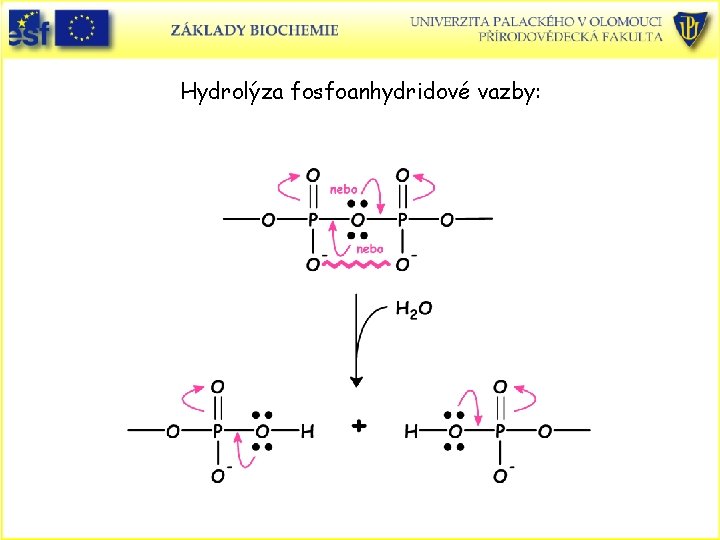 Hydrolýza fosfoanhydridové vazby: 