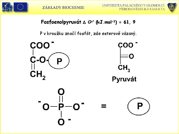 Fosfoenolpyruvát D Go' (k. J. mol-1) = 61, 9 P v kroužku značí fosfát,