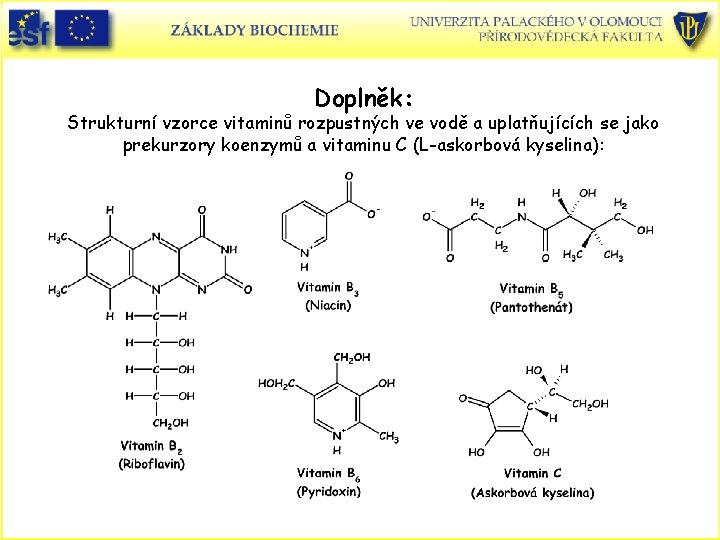 Doplněk: Strukturní vzorce vitaminů rozpustných ve vodě a uplatňujících se jako prekurzory koenzymů a