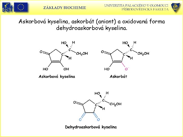 Askorbová kyselina, askorbát (aniont) a oxidovaná forma dehydroaskorbová kyselina. 