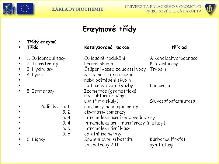Enzymové třídy • • Třídy enzymů Třída • • 1. Oxidoreduktasy 2. Transferasy 3.
