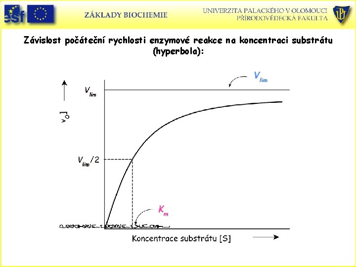 Závislost počáteční rychlosti enzymové reakce na koncentraci substrátu (hyperbola): 