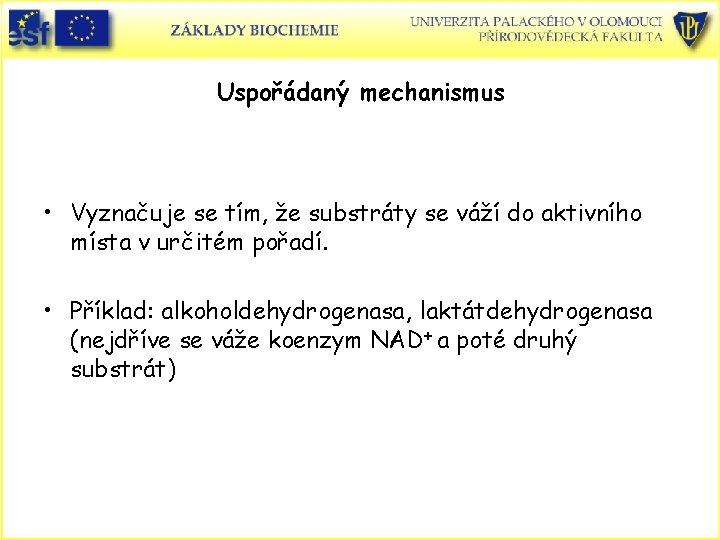 Uspořádaný mechanismus • Vyznačuje se tím, že substráty se váží do aktivního místa v