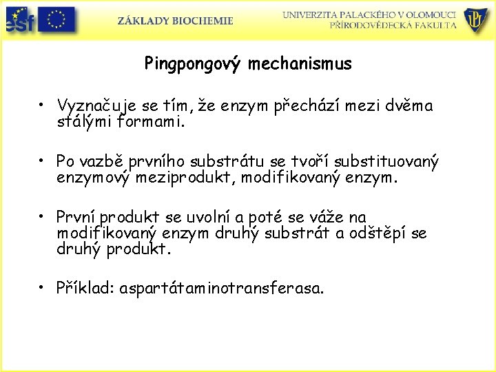 Pingpongový mechanismus • Vyznačuje se tím, že enzym přechází mezi dvěma stálými formami. •