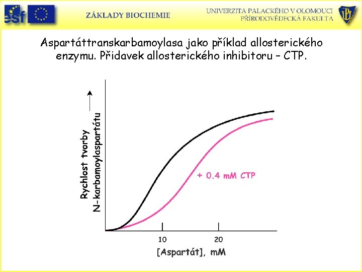 Aspartáttranskarbamoylasa jako příklad allosterického enzymu. Přidavek allosterického inhibitoru – CTP. 