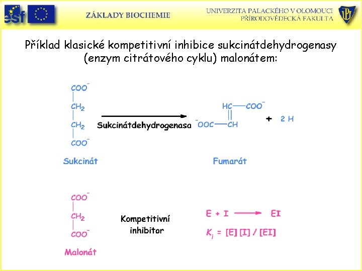 Příklad klasické kompetitivní inhibice sukcinátdehydrogenasy (enzym citrátového cyklu) malonátem: 