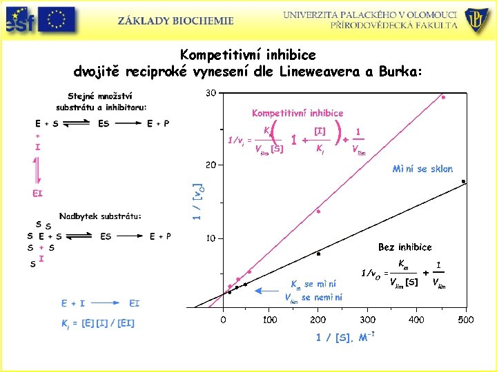 Kompetitivní inhibice dvojitě reciproké vynesení dle Lineweavera a Burka: 