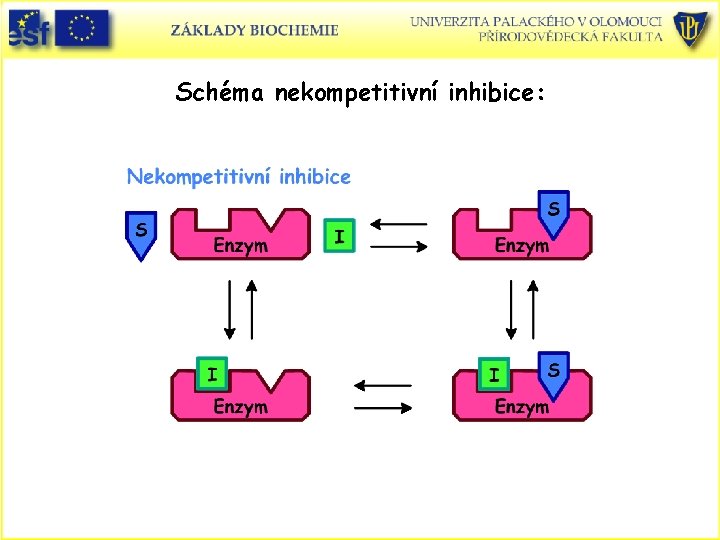 Schéma nekompetitivní inhibice: 