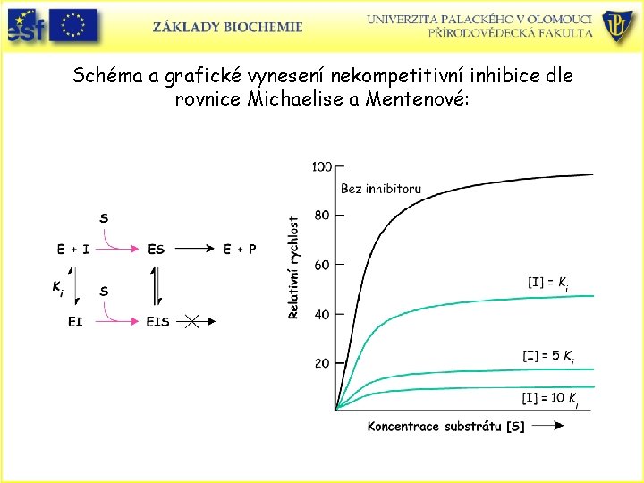 Schéma a grafické vynesení nekompetitivní inhibice dle rovnice Michaelise a Mentenové: 