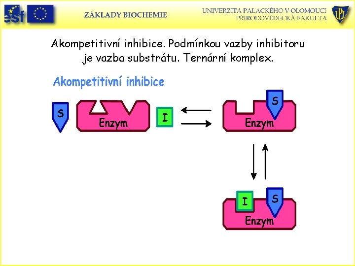 Akompetitivní inhibice. Podmínkou vazby inhibitoru je vazba substrátu. Ternární komplex. 