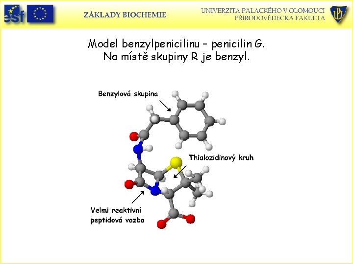 Model benzylpenicilinu – penicilin G. Na místě skupiny R je benzyl. 