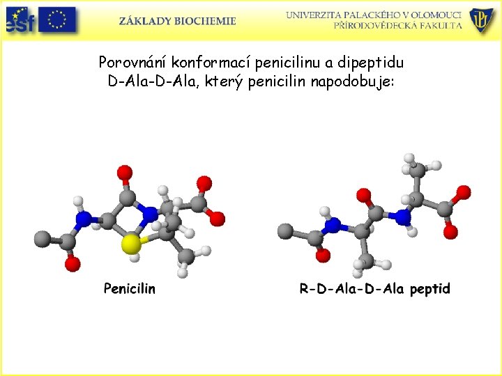 Porovnání konformací penicilinu a dipeptidu D-Ala-D-Ala, který penicilin napodobuje: 