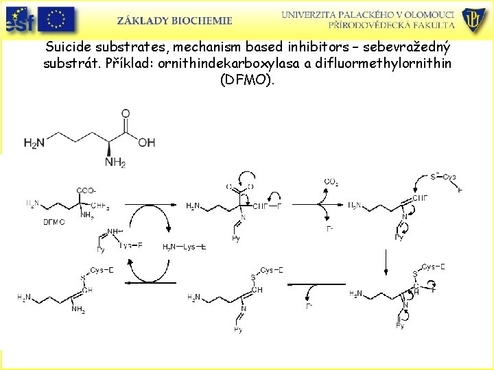 Suicide substrates, mechanism based inhibitors – sebevražedný substrát. Příklad: ornithindekarboxylasa a difluormethylornithin (DFMO). 